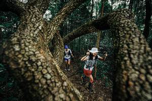 BIB: 
                            <button type="button" onclick="openModal(25393198)" class="btn btn-primary btn-sm float-right btn-popup" data-toggle="modal" data-target=".modal-high-quality">
                        <i class="fas fa-shopping-cart"></i> Add to Cart
                    </button>
                                            <button type="button" onclick="isThisMe(25393198, true)" class="btn btn-success btn-sm float-right btn-popup btn-isme hidden" data-toggle="tooltip" data-placement="bottom" title="นี่คือรูปของคุณใช่ไหม คลิกที่นี่เพื่อเอาเข้าอัลบั้ม">
                        <i class="fas fa-plus"></i> Add to album
                    </button>
                    <button type="button" onclick="isThisMe(25393198, false)" class="btn btn-warning btn-sm float-right btn-popup btn-isnotme hidden">
                        <i class="fas fa-ban"></i> Remove from album
                    </button>